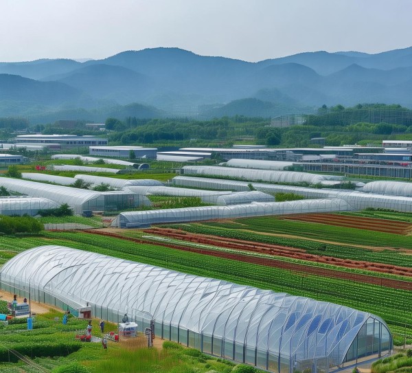 山东梁父山农业科技开发有限公司，科技赋能农业，助力乡村振兴的先行者